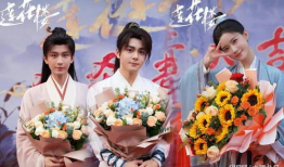 莲花电视剧,穿越时空的传奇爱情