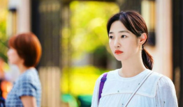 电视剧百合,青春校园的纯真岁月